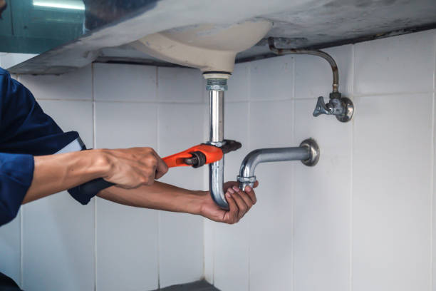 Best Local Plumber Services  in Catonsville, MD